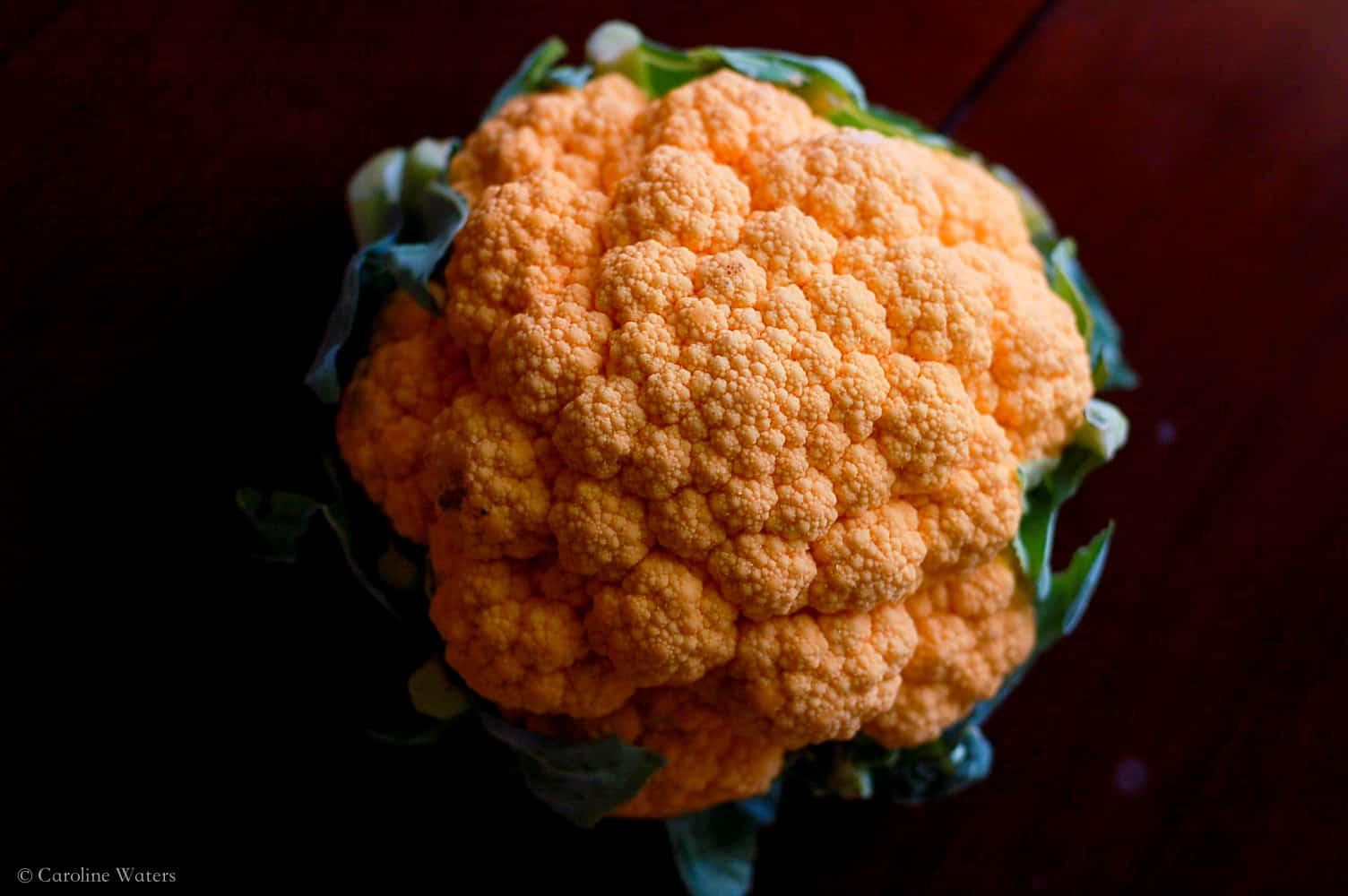 Tasty Cheddar Cauliflower "Popcorn" RDLicious Registered Dietitian