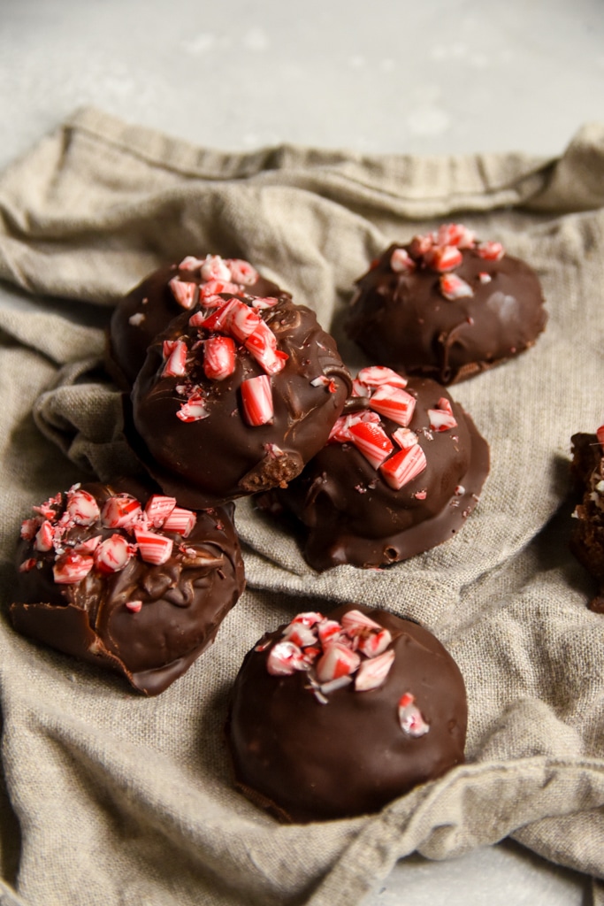 chocolate peppermint holiday cookies